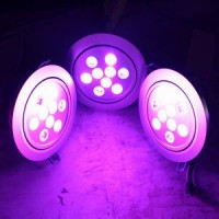 COB/RGB/RGBW/White Color LED Ceiling Lighting