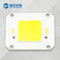 4046 20W 30W 50W 70W COB Chip for Flood Light High Street Light