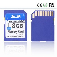 OEM High Speed 8GB 16GB 32GB Digital Camera SD Card (Class 10)