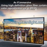 Outdoor Indoor Manual Pull Down Video Projection Screen