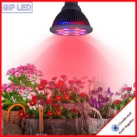 12W 24W PAR38 Hydroponics LED Grow Lights for Greemhouse