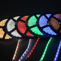 IP20/IP65/IP68 LED Strip SMD 5050 60LED/Meter DC12V Single Color (FG-LS60S5050NW-R/Y/B/G/CW/NW/WW)