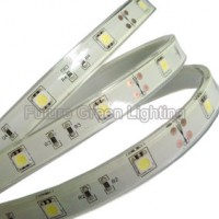 IP68 Waterproof LED Strip with 30PC 5050SMD (FG-LS30S5050SW)