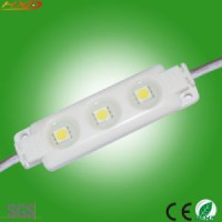 LED Module/ Injection LED Module/ Module Light/ LED Module Light