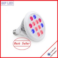 Best Seller 12W 24W E27 LED Grow Lights for Home Plants