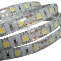 300SMD 5050 LED Strip with IP65 Waterproof (FG-LS60S5050EW)