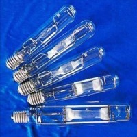 Metal Halide Lamp