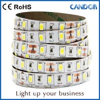 LED Strips