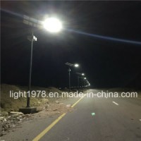 8m Pole 60W Solar LED Street Lamp in Jordan