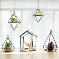 Simple Modern Geometric Glass Ornaments Living Room Balcony Micro Landscape Flower Decoration Decora