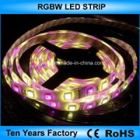 12V SMD Flexible 60LEDs 5050 RGBW LED Strip