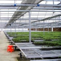 Movable Seedbed for Agricultural Greenhouse