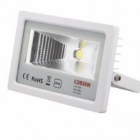 50W High Quality Outdoor LED COB Flood Light