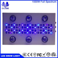 LED 10W Grow Chip Plant Grow Light Full Spectrum High Power LED Grow Light for Indoor Plant