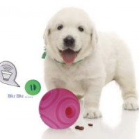 Global First Launch-Interactive Sound Dog Toys Ball and Treat Dispensing-Squeaking Rolling Treat Bal