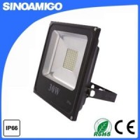 Ce RoHS Hot Sale 30W LED Floodlight High Power