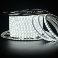 IP68 Waterproof LED Strip with TPU Material