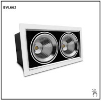 30W*2 Double Head LED Downlight COB