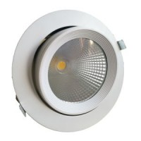 TUV Ce Approved 10W/20W/30W/40W Orientable LED Trunk Down Light