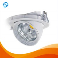 Embed Ceiling Rotatable Adjustable Dimmable 30W COB LED Downlighting