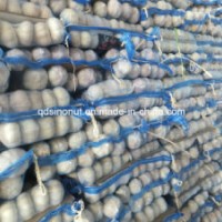 2018 New Crop Chinese Fresh Garlic