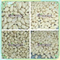 New Crop Blanched Peanut Kernels with 25/29  29/33