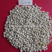 Long Type White Kidney Bean