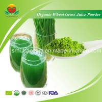 Manufacturer Supplier Organic Wheat Grass Juice Powder