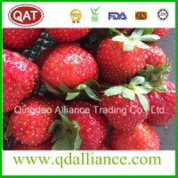 New Crop IQF Frozen Strawberry/Frozen Fruits