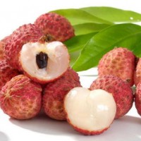 Food Canned Lychee Whole Fruit in 425g China Origin