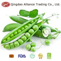 Frozen Sugar Snap Peas with High Quality