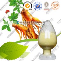 Wholesaler Panax Ginseng Extract Ginseng Root Extract Powder