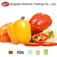 Top Quality Fresh Sweet Pepper