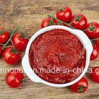 800g 22-24% Tomato Paste for MID East Market