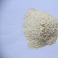 High Quallity Natural Garlic Powder