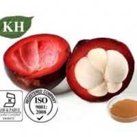 Mangosteen Improving Arthritis and Rheumatoid Arthritis