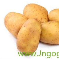 New Crop Export Good Quality Chinese Fresh Potato