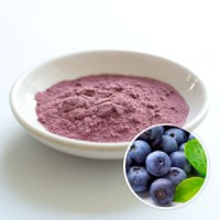 Zelang Supply Natural Blueberry Juice Powder Blueberry