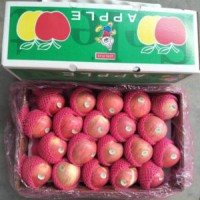 High Quality Red Color Qinguan Apple