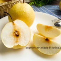 Fresh Fruit Bulk Fresh Golden Ya Pear with Best Price