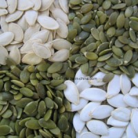 Good Quality Snow White Pumpkin Seeds for Sale