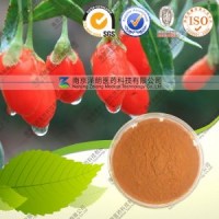 Distributor Bulk Price Goji Berry Berries Goji Extract Powder