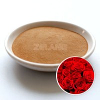 Rose Flower Extract Powder (4: 1  10: 1  20: 1)