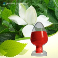 Natural Cape Jasmine Fruit Extract Gardenia Yellow E10-E500