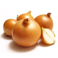 Fresh Onion  Chinese Yellow Onion  Jinan Onion