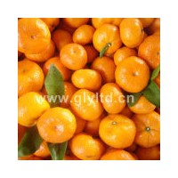 professional Supply Fresh Baby Mandarin Oranges