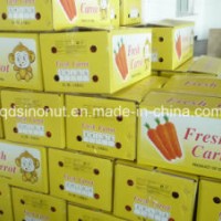 10kg Carton Fresh Carrot (150-200G)