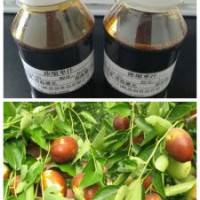 Chinese Jujube Red Dates Juice Concentrate