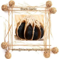 Professional Export Whole Black Garlic