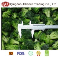 Top Quality Frozen Broccoli with Good Price